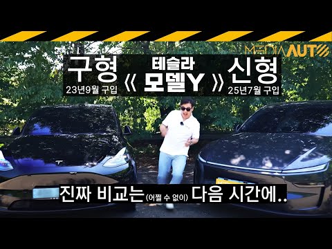 모델Y '신-구 비교' 하려다 생긴 일 // 테무