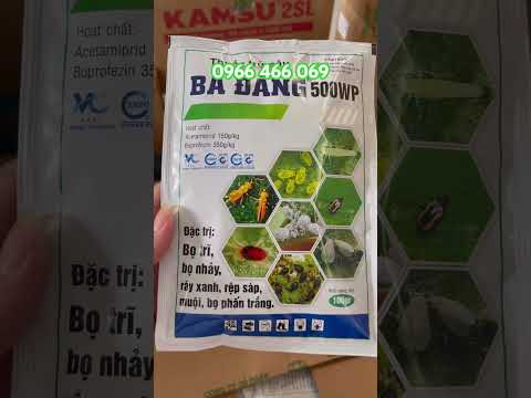 ngày 10 tháng 10, 2025