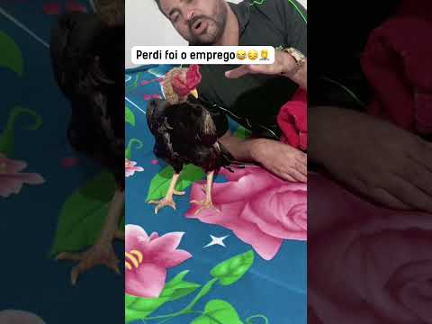 PERDI FOI O EMPREGO #shortvideo #comedia