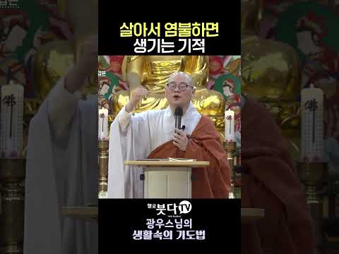 49일 안에 환생 못 하면 생기는 일 🚨  #광우스님 #49재 #구천을떠도는영혼 #<strong>사후세계</strong> #환생 #지장경
