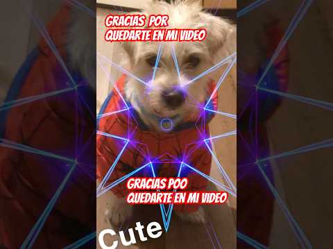 Gracias por quedarte en mi video 🐶💫