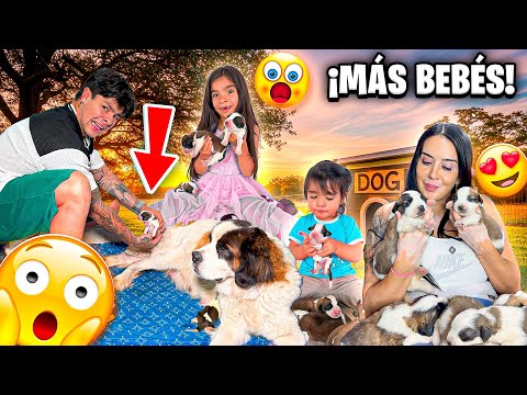 ¡NACIMIENTO DE BEBÉS! 😱 Mi OTRA perrita también dio a luz y fue INCREÍBLE 🐶❤️