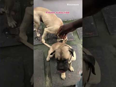 Live with Restream, June 27