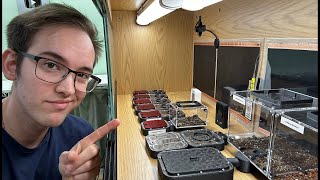 Feeding All My Ants!