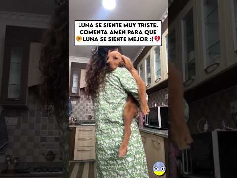 Luna está triste😢💔