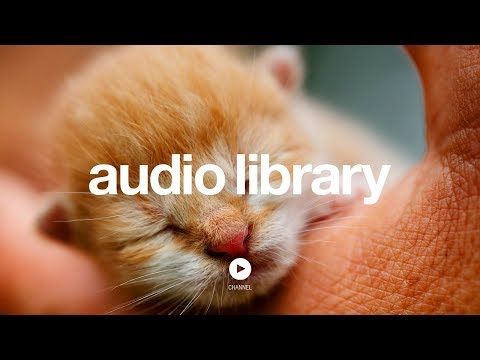 Good Starts – Jingle Punks (No Copyright Music)