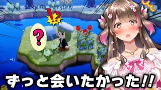 【あつ森】離島ガチャでずっと会いたかった住民に会えて大歓喜!9人目の住民が決まった日【あつまれどうぶつの森】