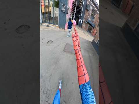 Spiderman caught the thief?