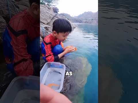This Fish Refused to Say Goodbye! ❤️