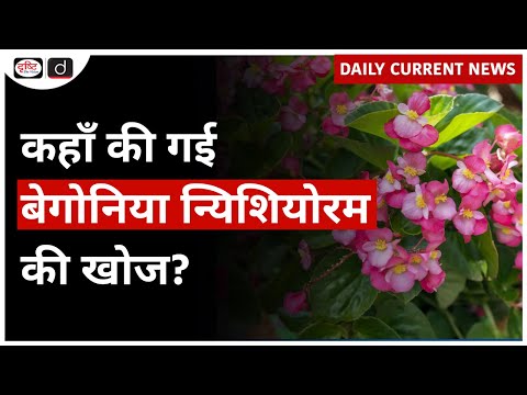 Begonia Nyishiorum | Nyishi Community | Daily Current News | Drishti IAS