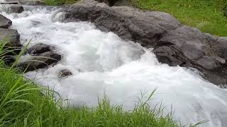 Aliran Sungai Pegunungan yang Tenang | White Noise Alam untuk Fokus, Kerja dan Tidur Nyenyak #nature