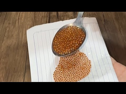 الحبوب المعجزه السحر اللي خلاني أرجع أقف على رجلي تاني
