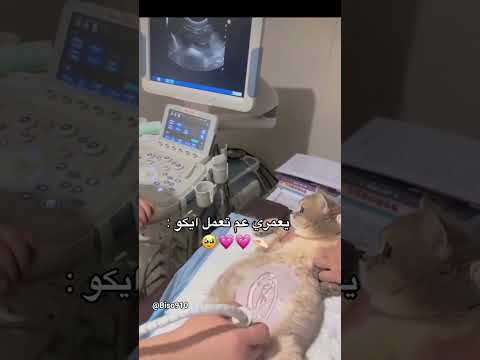 ادوخ انا ادووووخ 😭🥹