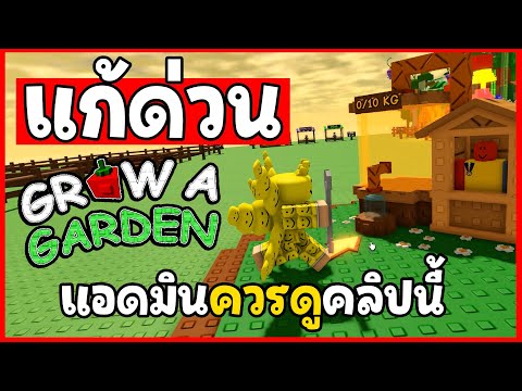 แก้ดวน!!! 6 ปัญหาที่ต้องแก้ - Grow a Garden