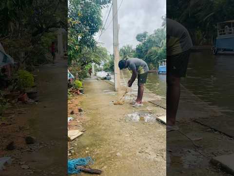 വീടിനുള്ളിൽ മീൻ🐟 വെള്ളപൊക്കം 👀😍ARCHANA DEV #shorts #viral #trending #archanadev #art #youtubeshorts