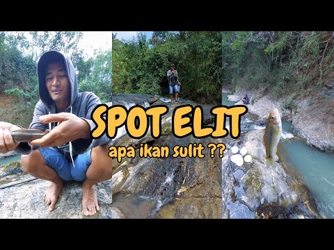 SPOT ELIT IKAN SULIT, AH YANG BENER ?? MANCING IKAN #fishing #mancing #portrait