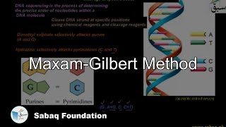 Maxam-Gillbert Method