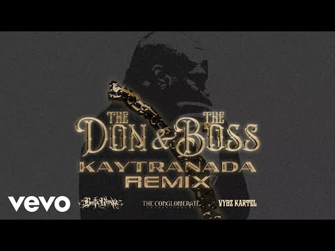 The Don & The Boss (KAYTRANADA Remix) (Visualizer) KAYTRANADA Remix