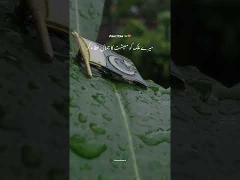 Pakistan 🇵🇰/subscribe/#viral #shotrs #pakistan #1000subscriber #1millionviews #14august