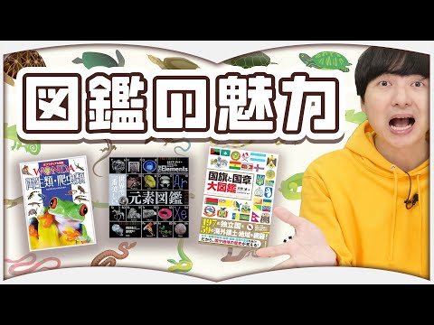 今こそ図鑑を流行らせたい！【夏休みSP】