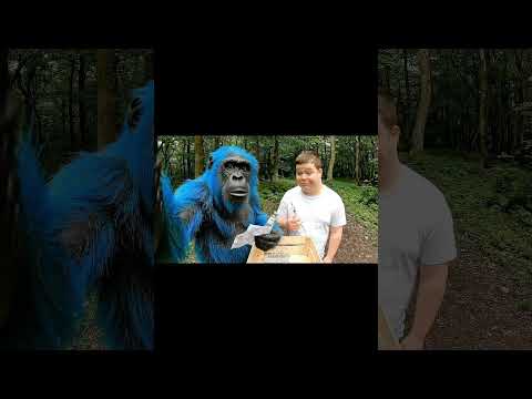 On a fait une découverte de folie 🤯 #veo3 #ia #prt #pourtoi #fyp #viral