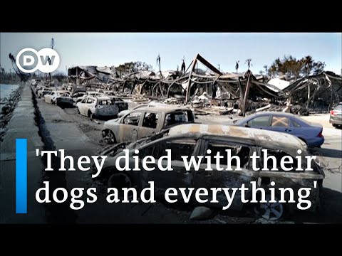 Hawaii fire victims demand to know why warning system failed | DW News