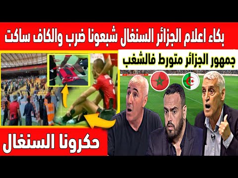 🔴 عاجل : هستيرية كبيرة في الاعلام الجزائري بسبب شغب فريق جزائري في بطولة افريقيا