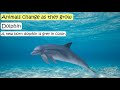 Animal Life Cycles and Characteristics