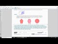 Slicing Shapes in Right Prisms