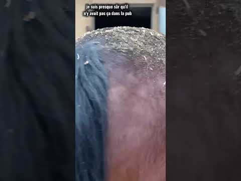 J’ai pas signé pour sa moiii 🤣🤣🫶🏼✨#humour #modelecapcut#horse#cavalierlife#equestrian