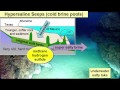 Deep-Sea Ecosystems and Seep Types