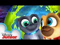 Celebrating Earth Day with Bingo and Rolly