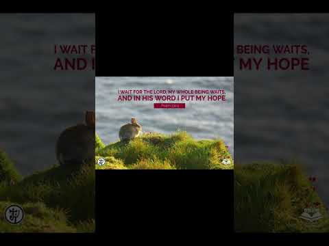 #dailybibleverse #bunny #petlover #christianmusic