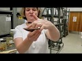Fish Collections and Their Importance