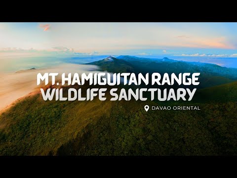 Mt. Hamiguitan Range Wildlife Sanctuary Tour