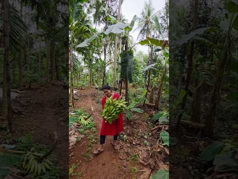 90%കാര്യങ്ങളും ശ്രമിച്ചാൽ നടക്കില്ലേ?#agriculture #shortvideo #shortsfeed #shorts