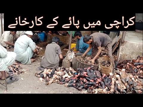 Paye Factory In Karachi Paye kis tarah tayar hotay hain Cow & Goat Paye