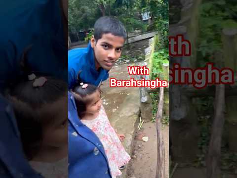 Unbelievable! Shreenika Calls a Barasingha at Patna Zoo – And It Comes!" #trend #viralshorts
