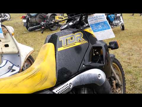 フルオーバーホール後のエンジン音を聞く TDR250