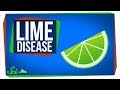 Understanding Phytophotodermatitis and Furanocoumarins