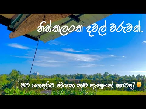 මං වගේ පැළ එක්ක කතා කරන අය තව ඉන්නවද? 🌱🌿🪴| Relax වෙලාවට කරන්න හොඳම Hobby එකක් 💆🏻♀️❤️