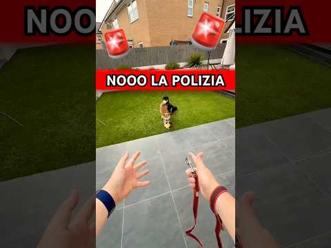 Nooo La Polizia 🥺 #cutenessoverload