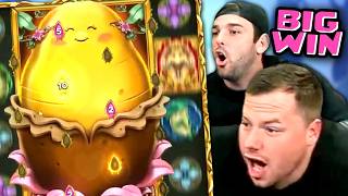 This Royal Potato 2 Bonus went Better than it Should Have