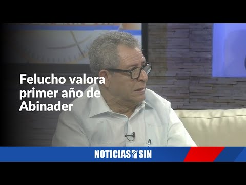 Abinader quiere gobernar "con la sonrisa de todos", según Felucho