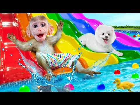 Monkey BoBO play hotwheels Monster Truck with Duckling and Puppy in the Giant Water Balloon