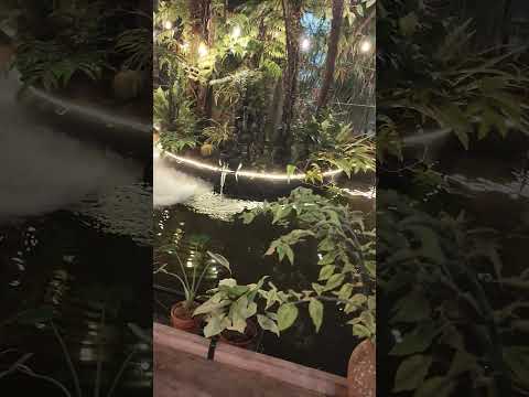 lênh đênh phận buồn