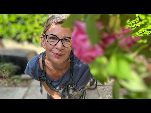 Katie Hopkins: On Liverpool. What is NOT being said…