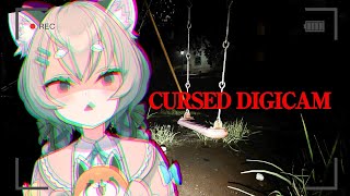 I found a Cursed Digicam! 🎋
