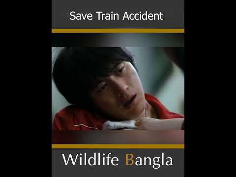 রিয়েল হিরো!ভয়ানক অ্যাক্সিডেন্ট থেকে রক্ষা করল শিশুটিকে #wildlife bangla