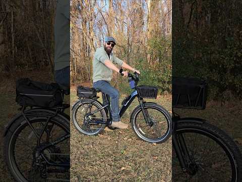 Euphree Stellar Falcon Sale!